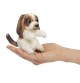 Marionnette à doigt mini chien signée Folkmanis