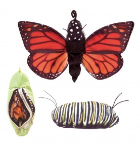 Marionnette à main Métamorphose du papillon monarque